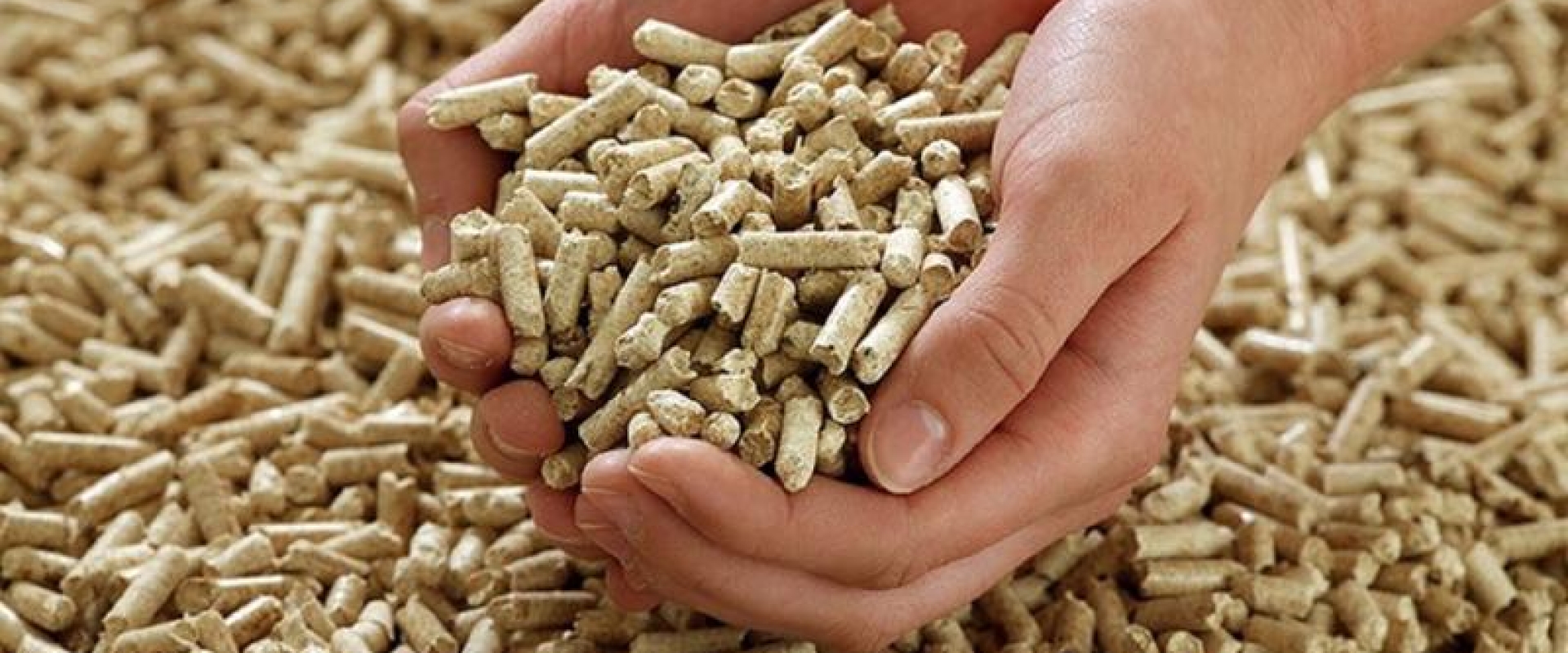 CÔNG TY TNHH NHIÊN LIỆU SINH HỌC VŨ GIA PHÁT