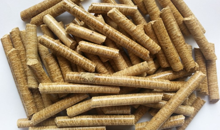 NHIÊN LIỆU BIOMASS LÀ GÌ?